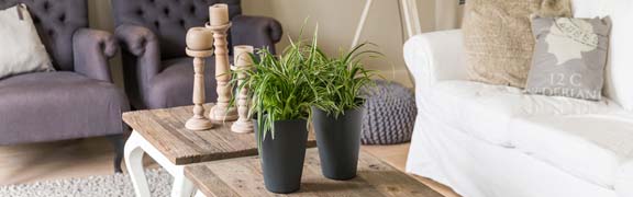 org:/banners product categories/plants/aqua4weeks_header.jpg